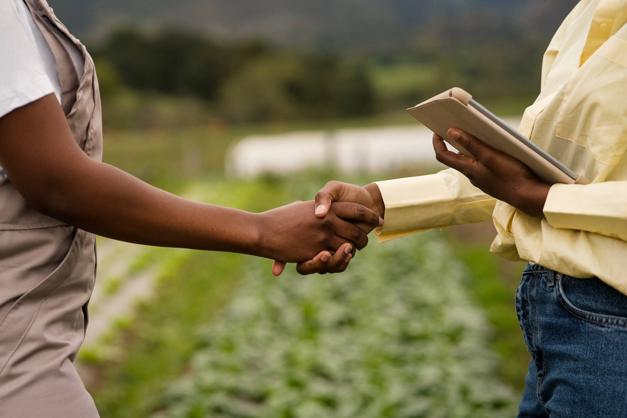 agribusiness startup, Funding Your Agribusiness Startup In 7 Creative Ways, Kilimo Nexus