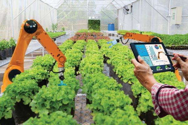 IoT in Agriculture: 7 Devices Transforming Crop Management