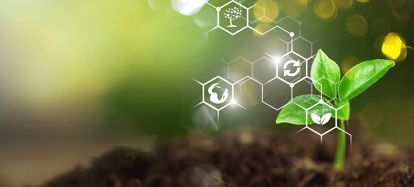 Agricultural Transparency, Revolutionizing Agricultural Transparency: By The Power of Blockchain in 5 Key Areas, Kilimo Nexus