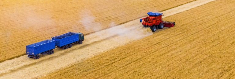 Logistics in Agriculture: 7 Key Roles in Supply Chain Management