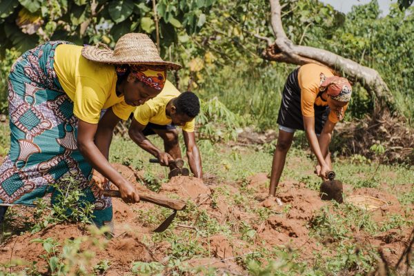 Top 10 Tips for Smallholder Farmers to Thrive