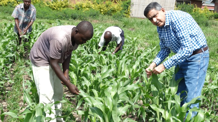Agricultural scientists, Breaking Ground: 5 Exemplary Agricultural Scientists Shaping the Future of Farming in Kenya, Kilimo Nexus