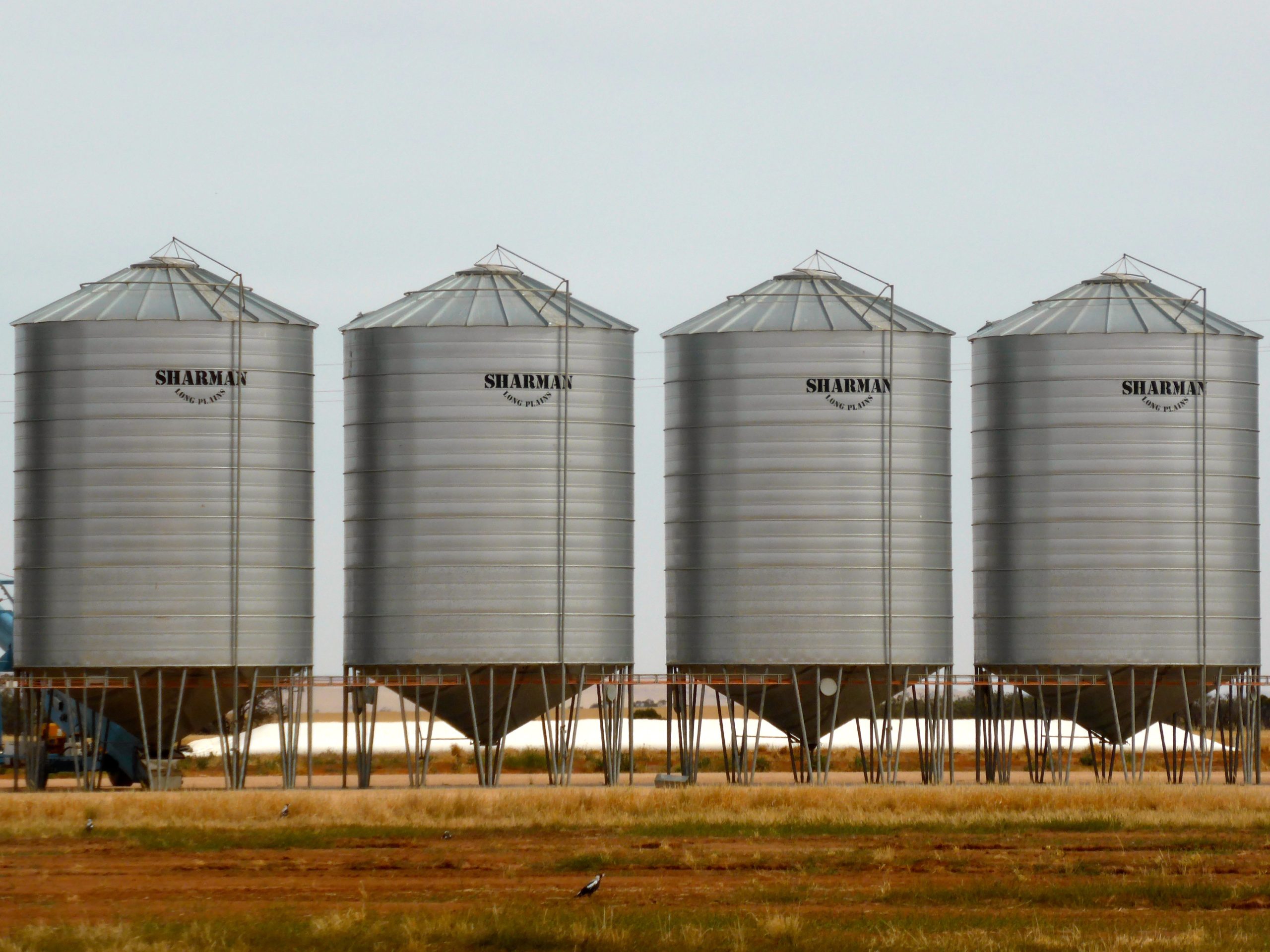 storage solutions, Warehousing Wonders: 6 Storage Solutions for Agricultural Goods, Kilimo Nexus