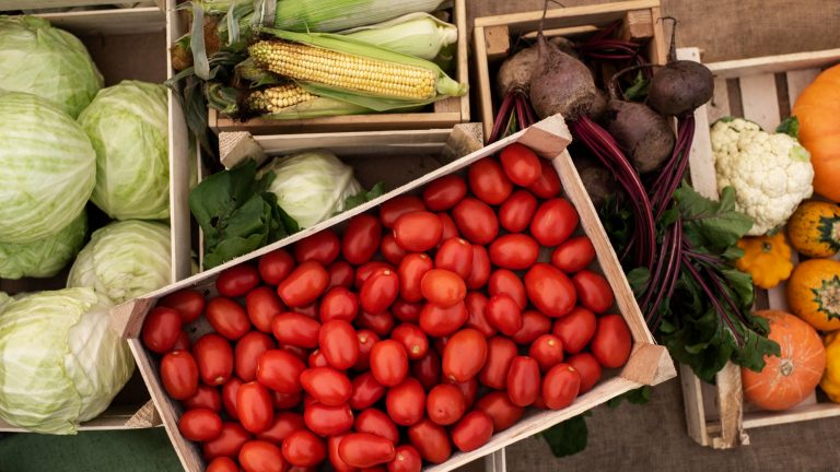 From Farm to Fork: 6 Strategic Interventions To Ensure Freshness