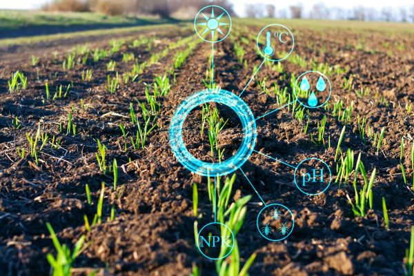 Precision in Practice: Tech-Enabled Strategies for Healthy Crops