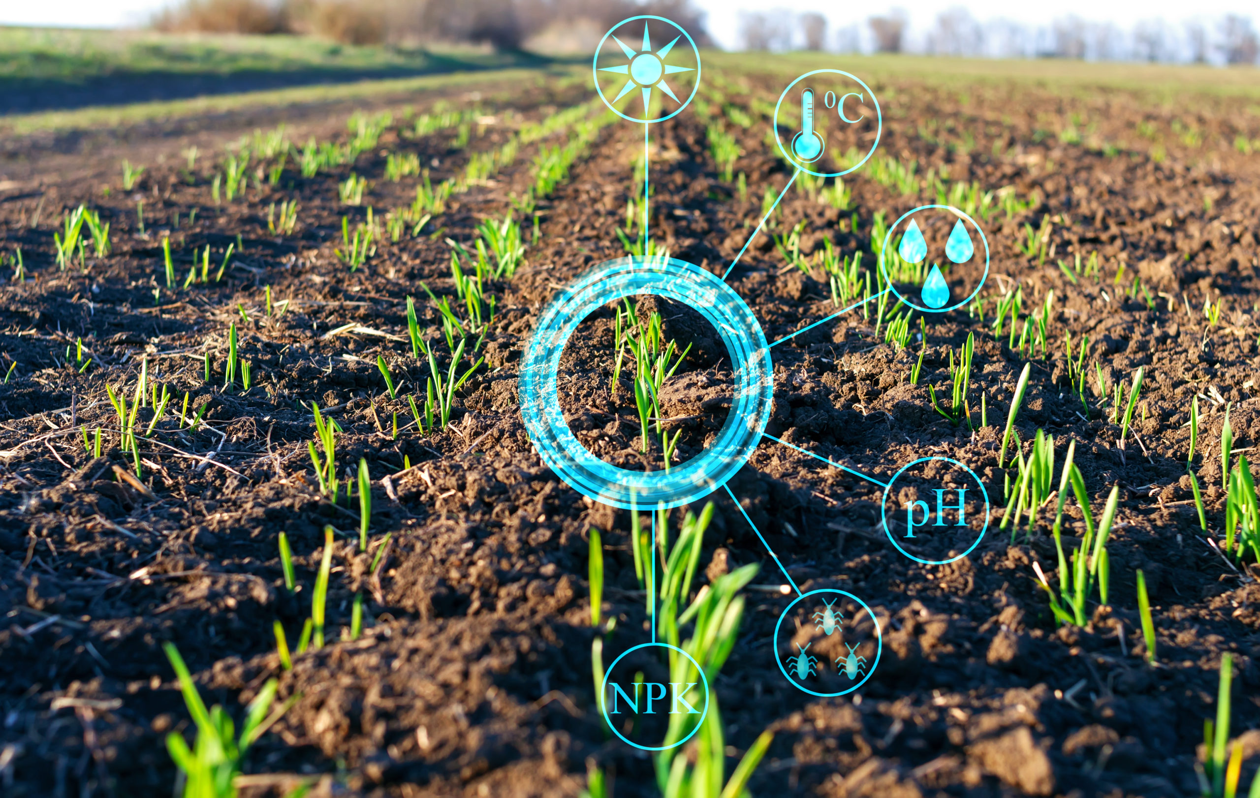 , Precision in Practice: Tech-Enabled Strategies for Healthy Crops